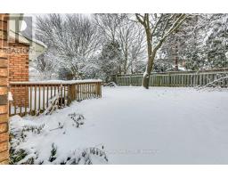 14 DONNYBROOK ROAD - 44