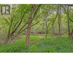 23 - 683 WINDERMERE ROAD - 32