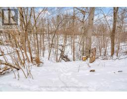 156 LANGARTH STREET W - 41