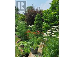 10 WARBLER HEIGHTS - 37