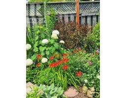 10 WARBLER HEIGHTS - 38