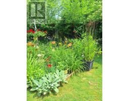 10 WARBLER HEIGHTS - 39