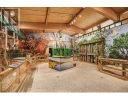 17374 LAKESHORE ROAD - 42