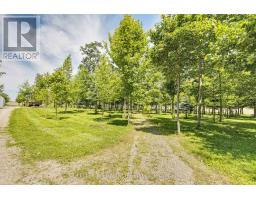 32420 SILVER CLAY LINE - 32