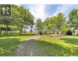 32420 SILVER CLAY LINE - 33