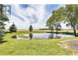 32420 SILVER CLAY LINE - 34