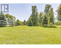 32420 SILVER CLAY LINE - 38