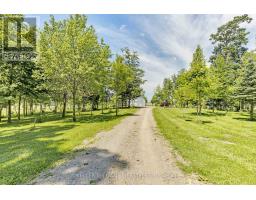 32420 SILVER CLAY LINE - 39