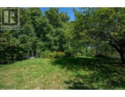 479 GEORGE STREET - 24