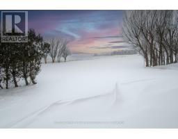 9077 PETTY STREET - 42