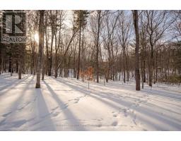 82 CHESTNUT COURT - 38