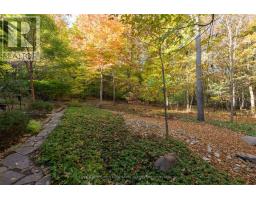 82 CHESTNUT COURT - 45