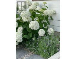 723 APRICOT DRIVE - 46