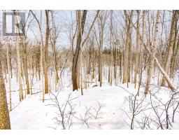 17 - 1337 COMMISSIONERS ROAD W - 47