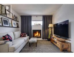 44 ROSETHORN COURT - 19