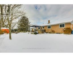 258 MARY STREET - 41