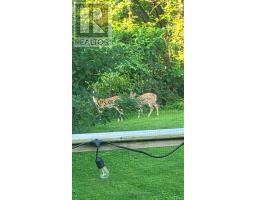 2 OPECHEE STREET - 38