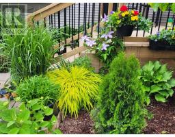 41 - 2189 DUNDAS STREET E - 38