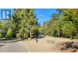 10300 BEACH O PINES ROAD - 39