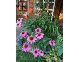 190 EMERY ST. STREET - 10