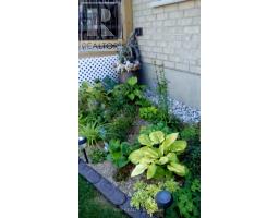 190 EMERY ST. STREET - 11