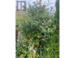 190 EMERY ST. STREET - 13