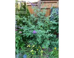 190 EMERY ST. STREET - 17