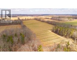 451 COLONEL TALBOT ROAD - 31