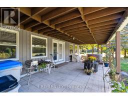 33810 DARRYL COURT - 42