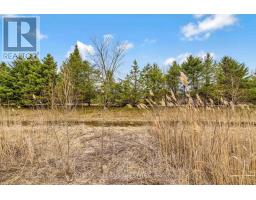 10 MCNEIL STREET - 39