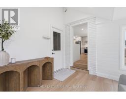 44 DAVID STREET - 22