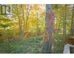 7 METAMORA CRESCENT - 49