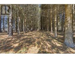 21727 VANNECK ROAD - 15