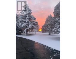 21727 VANNECK ROAD - 47