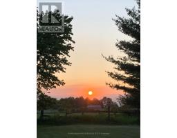 21727 VANNECK ROAD - 49