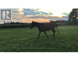 21727 VANNECK ROAD - 50