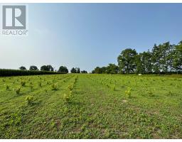 48397 DEXTER LINE - 3