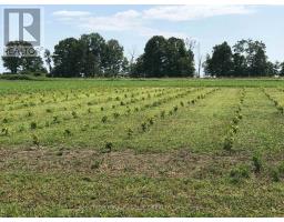 48397 DEXTER LINE - 4