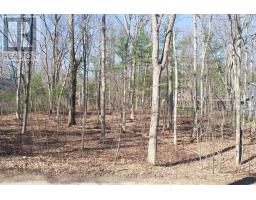 10296 GRAND OAKS DRIVE - 11