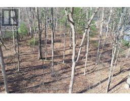 10296 GRAND OAKS DRIVE - 12