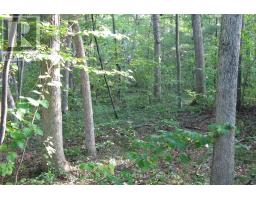 10296 GRAND OAKS DRIVE - 13