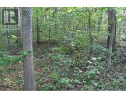 10296 GRAND OAKS DRIVE - 14