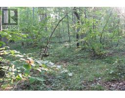 10296 GRAND OAKS DRIVE - 15