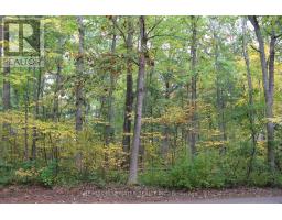 10296 GRAND OAKS DRIVE - 16