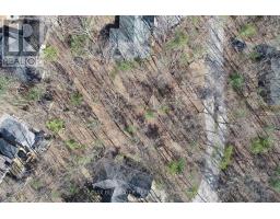 10296 GRAND OAKS DRIVE - 18