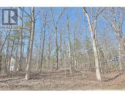 10296 GRAND OAKS DRIVE - 2