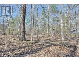 10296 GRAND OAKS DRIVE - 7