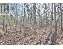 10296 GRAND OAKS DRIVE - 8