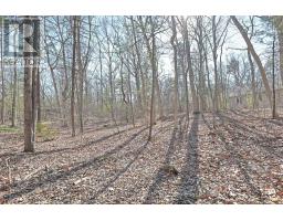 10296 GRAND OAKS DRIVE - 9