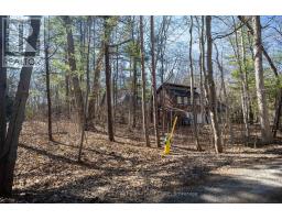 10277 GRAND OAKS DRIVE - 28